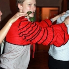 Bal 2013